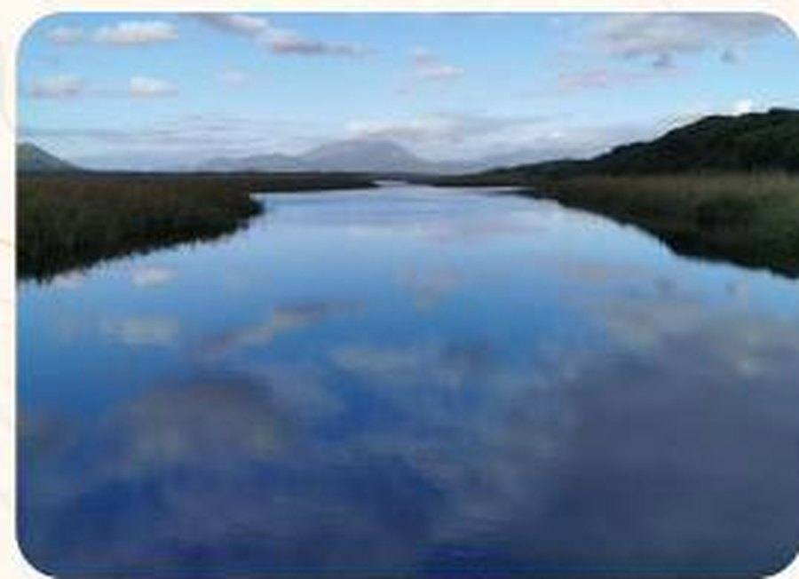 A Western Cape wetland. Riparian zones are where invasion does the most hydrological damage — and where clearing returns water the fastest.