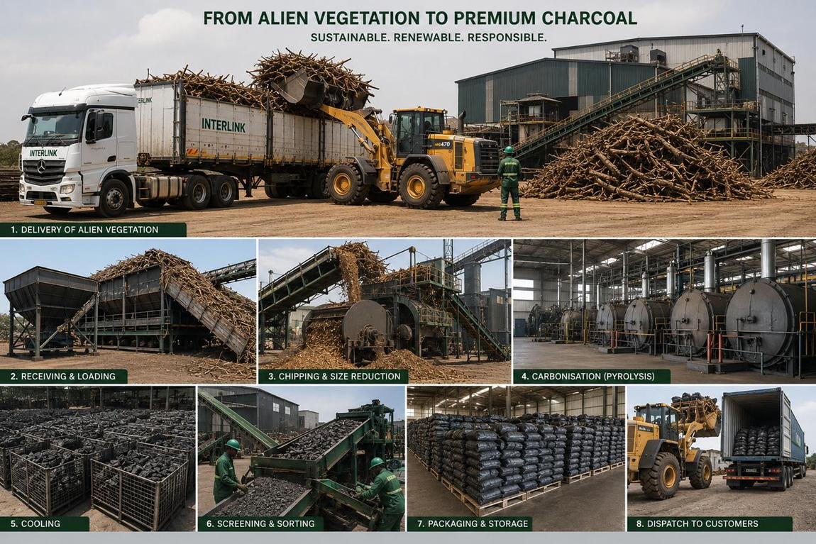 Alien vegetation to premium charcoal